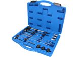 Brilliant Tools Set Per La Pulizia Di Sedi Di Iniettori E Pozzetti 21 Pezzi - BT551300