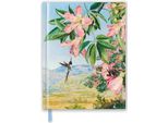 Kew Gardens: Fogliame E Fiori Di Marianne North (Blank Sketch Book)