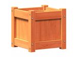 Vidaxl Fioriera Marrone Cera 31X31X31 Cm In Legno Di Pino Massiccio