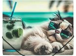 Cartella Elastica A4 Stampata - Chillout Cat