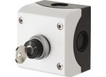 Interruttore A Chiave Kwc Ar, Montaggio Esterno, Massimo 230 Vac