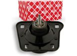 Febi Bilstein Supporto Motore Supporto Idraulico Destro Per Ford Fiesta Mk4 Hatchback (Jas, Jbs) 30052