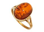Goldring Jobo Gr. 52, Gelb (Gelbgold 375), Fingerringe, Damen, 52, Gelbgold 375, Goldring, 375 Gold Mit Bernstein