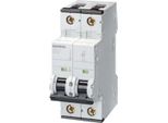 Interruttore Siemens Dig.Industr. Ls 5SY6506-7 5SY65067