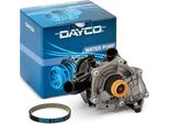 Dayco KTBWP12100 Set Cinghia Di Distribuzione + Pompa Dell'acqua Per Vw Golf Vii Hatchback (5G1, BQ1, BE1, BE2) Polo Hatchback (6R1, 6C1) Passat Estate (3G5, CB5)