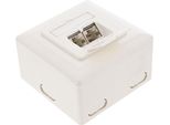 Inline® 75602J Scatola Di Giunzione Cat.6, Ap/Up 2X Presa RJ45, RAL9010, Bianco, Orizzontale