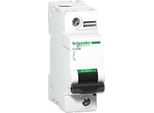 Schneider Electric C120B 1P 63A 25KA D (A9N18908)