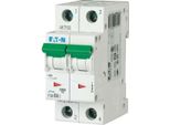 Interruttore Di Alimentazione Eaton (PLSM-B6/2-MW)