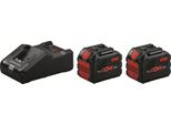 Bosch Starter-Set 18V Procore 2X18V/12,0 Ah, Gal 18V-160