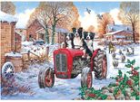 Casa Del Puzzle Beau Belle Bramble 1000 Teile Karton
