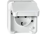 Merten MEG2400-8019 Presa Di Corrente Con Contatto Di Terra E Protezione Tattile Avanzata, Bianco Polare, Aquastar
