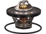 Febi Bilstein Termostato Liquido Di Raffreddamento 79 °C Per Iveco Daily Iii Pianale/Telaio Daily Iii Furgone/Combi Daily Ii Pianale/Telaio Daily Iii Bus