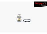 Termostato Refrigerante Metzger Per Vw Passat B6