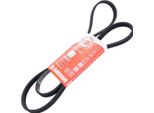 MASTER-SPORT 4PK1511-PCS-MS Cinghia A V, Cinghia Piatta Per Ford Transit Bus (E_ _)