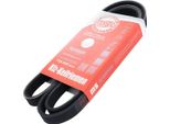 MASTER-SPORT 5PK1546-PCS-MS Cinghia A V, Cinghia Piatta Per Suzuki Baleno Hatchback (Eg)