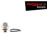 Termostato Refrigerante Metzger Per Daily Iii