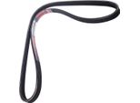 MASTER-SPORT 4PK975-PCS-MS Cinghia A V, Cinghia Piatta Per Peugeot 305 Ii (581M)