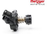 Termostato Liquido Di Raffreddamento Metzger Per Mini Mini (F56)