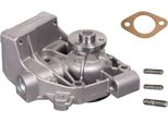 Pompa Refrigerante Swag Pompa Acqua Per Fiat Ducato Furgone (290) 70 15 0038