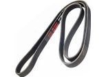 MASTER-SPORT 5PK1680-PCS-MS Cinghia A V, Cinghia Piatta Per Opel Astra G Cc (T98)