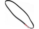 MASTER-SPORT 3PK925-PCS-MS Cinghia A V, Cinghia Piatta Per Peugeot Boxer Bus (230P)
