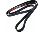 MASTER-SPORT 6PK1795-PCS-MS Cinghia A V, Cinghia Piatta Per Ford Scorpio I (Gae, Gge)