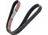 MASTER-SPORT 6PK875-PCS-MS Cinghia A V, Cinghia Piatta Per Renault 19 Ii (B/C53_)