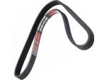 MASTER-SPORT 5PK905-PCS-MS Cinghia A V, Cinghia Piatta Per Bmw 3 (E36)