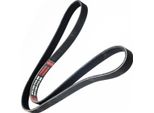 MASTER-SPORT 6PK1265-PCS-MS Cinghia A V, Cinghia Piatta Per Ford Fiesta Iii (Gfj)