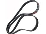 MASTER-SPORT 6PK1955-PCS-MS Cinghia A V, Cinghia Piatta Per Fiat Freemont (345_)