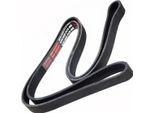 MASTER-SPORT 6PK1695-PCS-MS Cinghia A V, Cinghia Piatta Per CitroËN Berlingo / Berlingo First Mpv (Mf_, Gjk_, Gfk_)