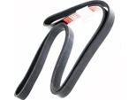 MASTER-SPORT 6PK1720-PCS-MS Cinghia A V, Cinghia Piatta Per Ford Mondeo I (Gbp)