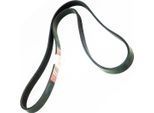 MASTER-SPORT 6PK1630-PCS-MS Cinghia A V, Cinghia Piatta Per Audi A8 D2 (4D2, 4D8)