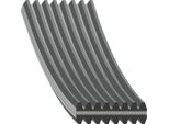 Cinghia Trapezoidale Dentata Febi Bilstein 1445 Mm Per Land Rover Range Rover Sport (L320) 177989