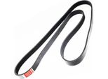 MASTER-SPORT 6PK1675-PCS-MS Cinghia A V, Cinghia Piatta Per Ford Escort V (Aal, Abl)