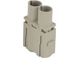 Cx 02 7M I.L.M.E. Ilme CX-02 70 Ampere Modulo Inserto A Pin (M) Connessione A Crimpare, 2 Poli 1000V, 70A - 10Pz