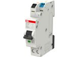 Flexline Ls 6Ka 1+N B 10A (Snx201-B10)