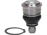 MASTER-SPORT 35293-SET-MS Supporto/Giunto Di Guida, Inferiore, Assale Anteriore Per Nissan Note (E11, NE11)