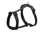 Imbracatura Premium H 52-75 Cm/20 Mm Nero