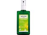 Weleda Deodorante Agli Agrumi 100Ml
