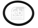 Febi Bilstein Anello Di Tenuta 49539 Per Renault Trucks C 3 Mm Fpm (Gomma Fluorurata) 29 Mm 32 Mm 0,001 Kg