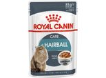 Royal Canin Feline Hairball Care Pocket 85G