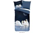 Biancheria Da Letto In Puro Renforcé 135 X 200 Cm + 1 X 80 X 80 Cm Condividi Blu