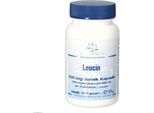 Leucina 500 Mg Junek Capsule 60 Capsule