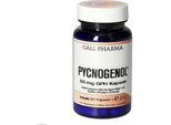 Pycnogenol 50 Mg Gph Capsule 60 Capsule