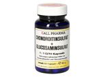 Condroitina Solfato + Glusosamina Solfato 1:1 Gph Capsule 60 Capsule