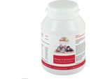 Omega 6 Capsule 100 Capsule