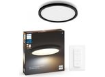 Philips Hue White Ambience Hue Aurelle Pannello Luminoso Rotondo