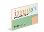 Carta Xerografica Colour - Set 5 X 20 Fogli Pastello / Mix 5 Colori