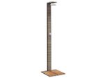 Vidaxl Doccia Da Giardino Grigia 50X55X224 Cm In Poly Rattan E Legno Di Acacia